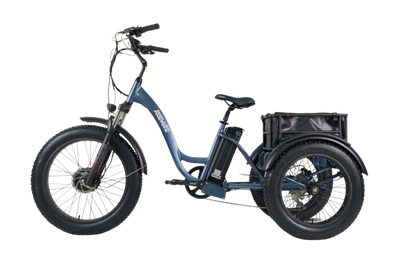 The Versatile Electric Trike