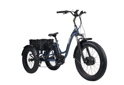 The Versatile Electric Trike