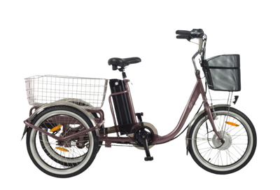 The Easy Electric Trike