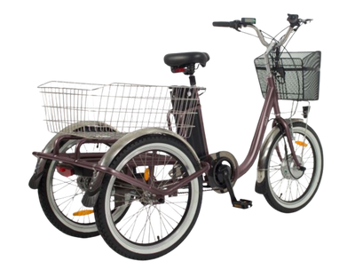 The Easy Electric Trike